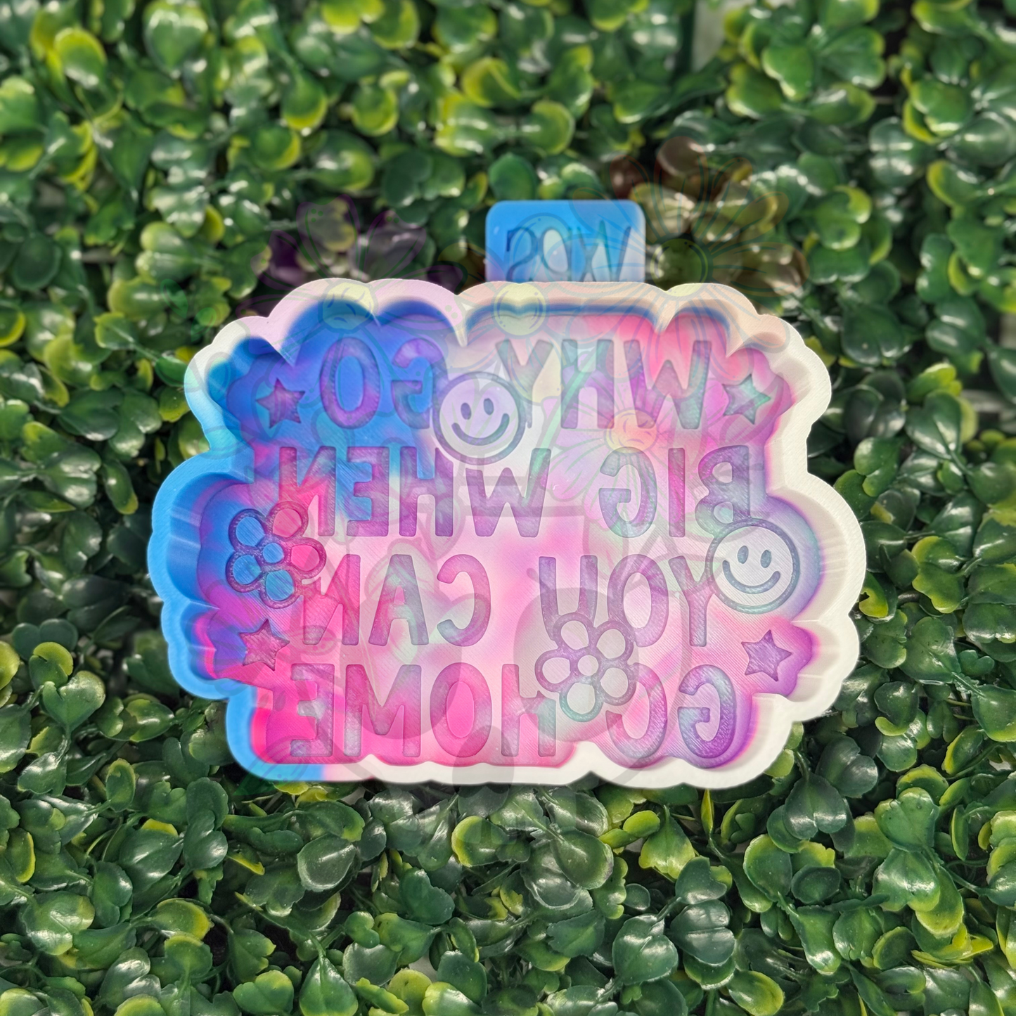 Why Go Big When You Can Go Home Freshie Mold - Semi Exclusive