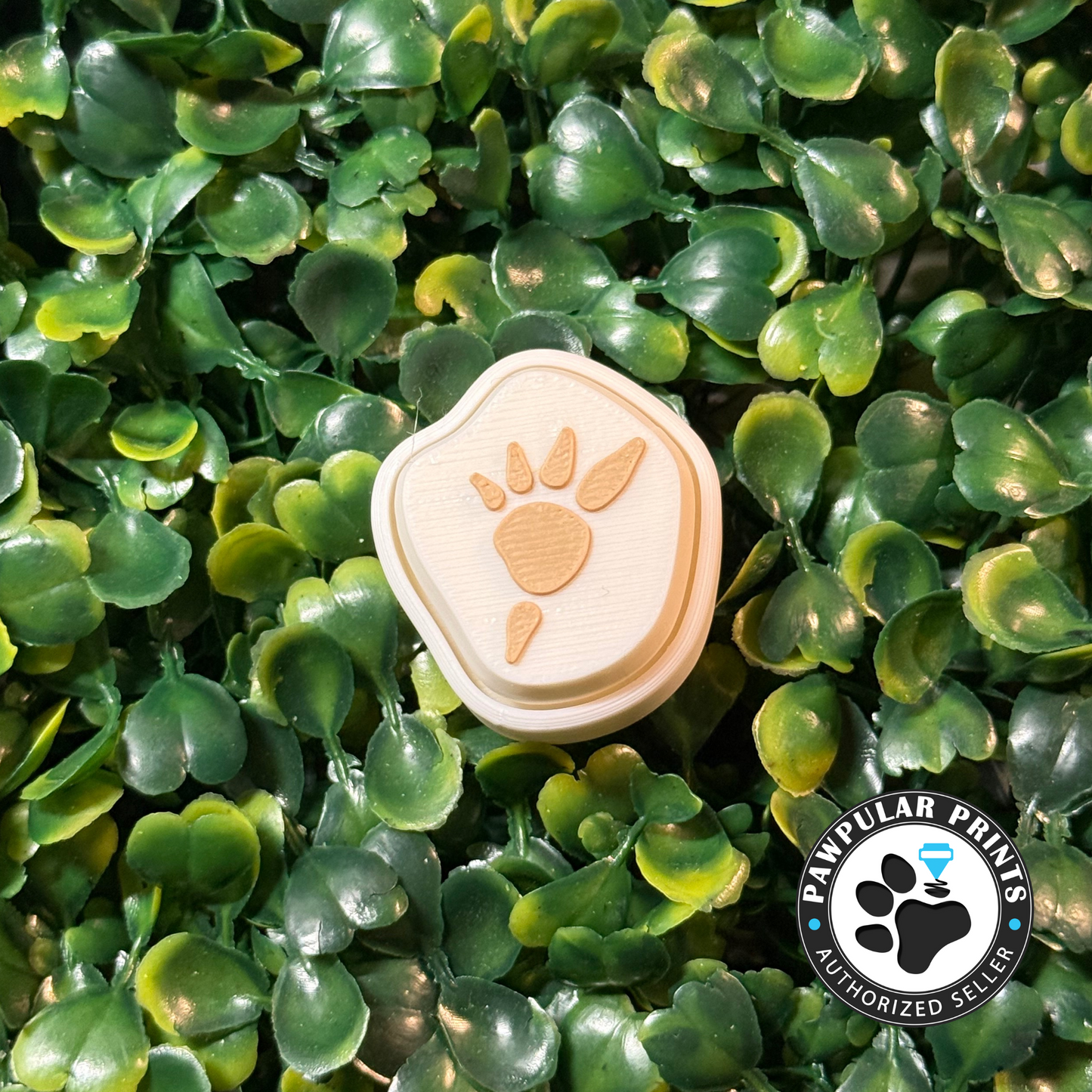 Dinosaur Fossil Stegosaurus Fidget Clicker - Wholesale