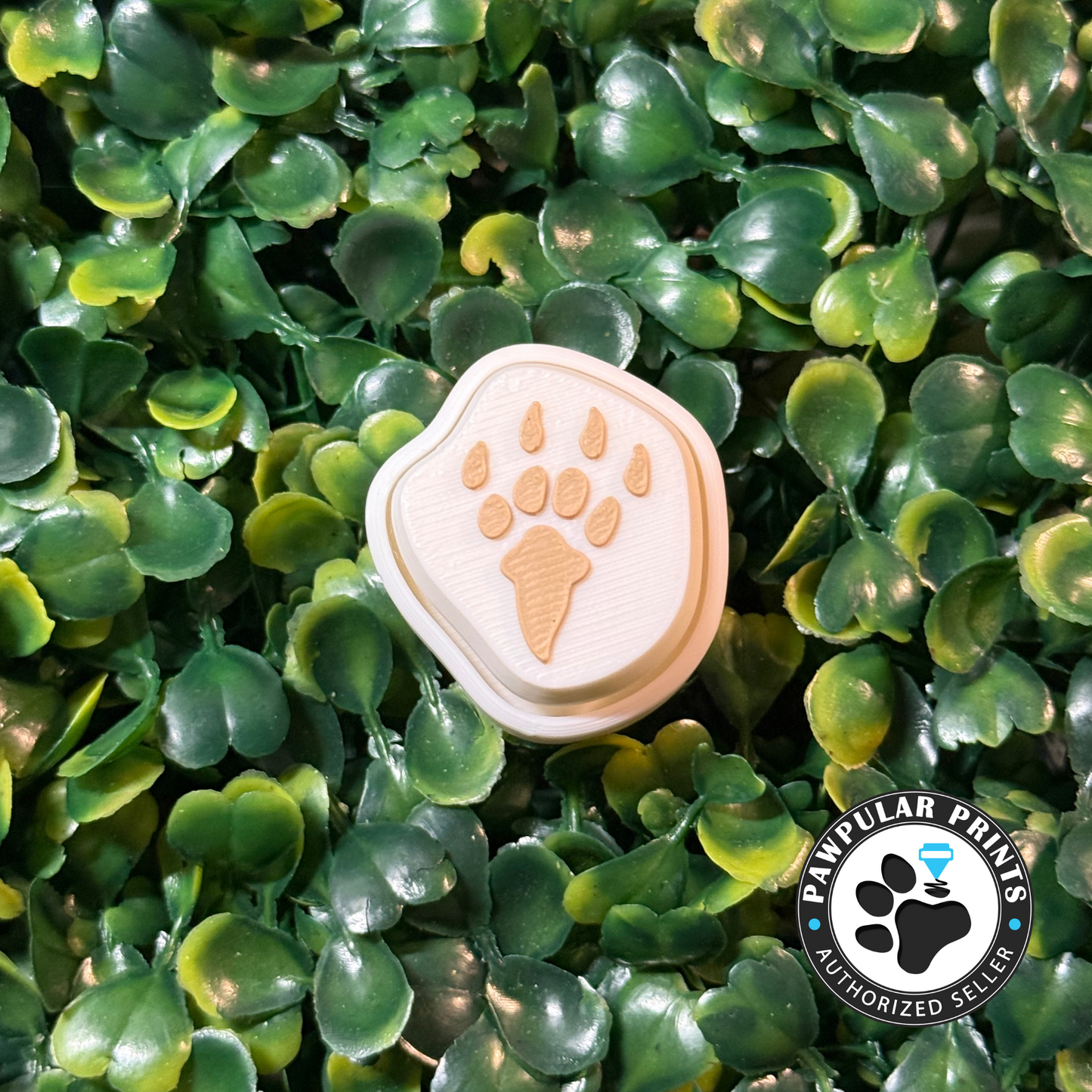 Dinosaur Fossil Triceratops Fidget Clicker