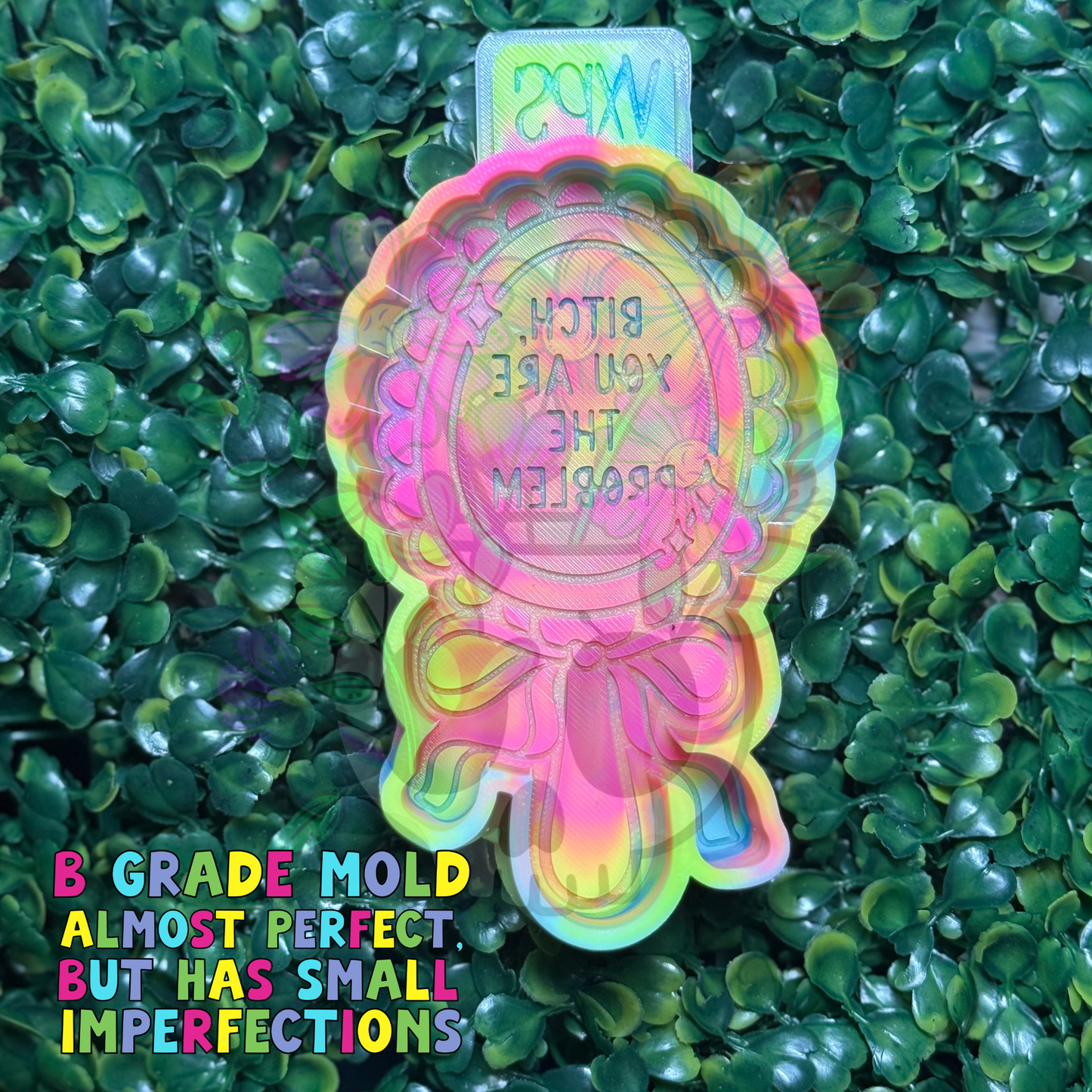 Bitch, You Are the Problem - B Grade