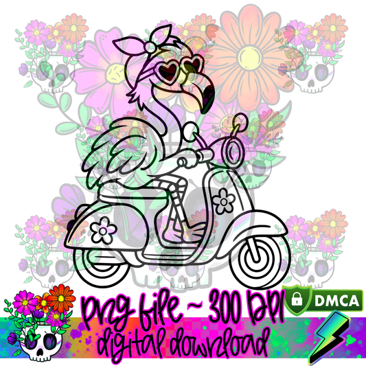 Flamingo Scooter - PNG
