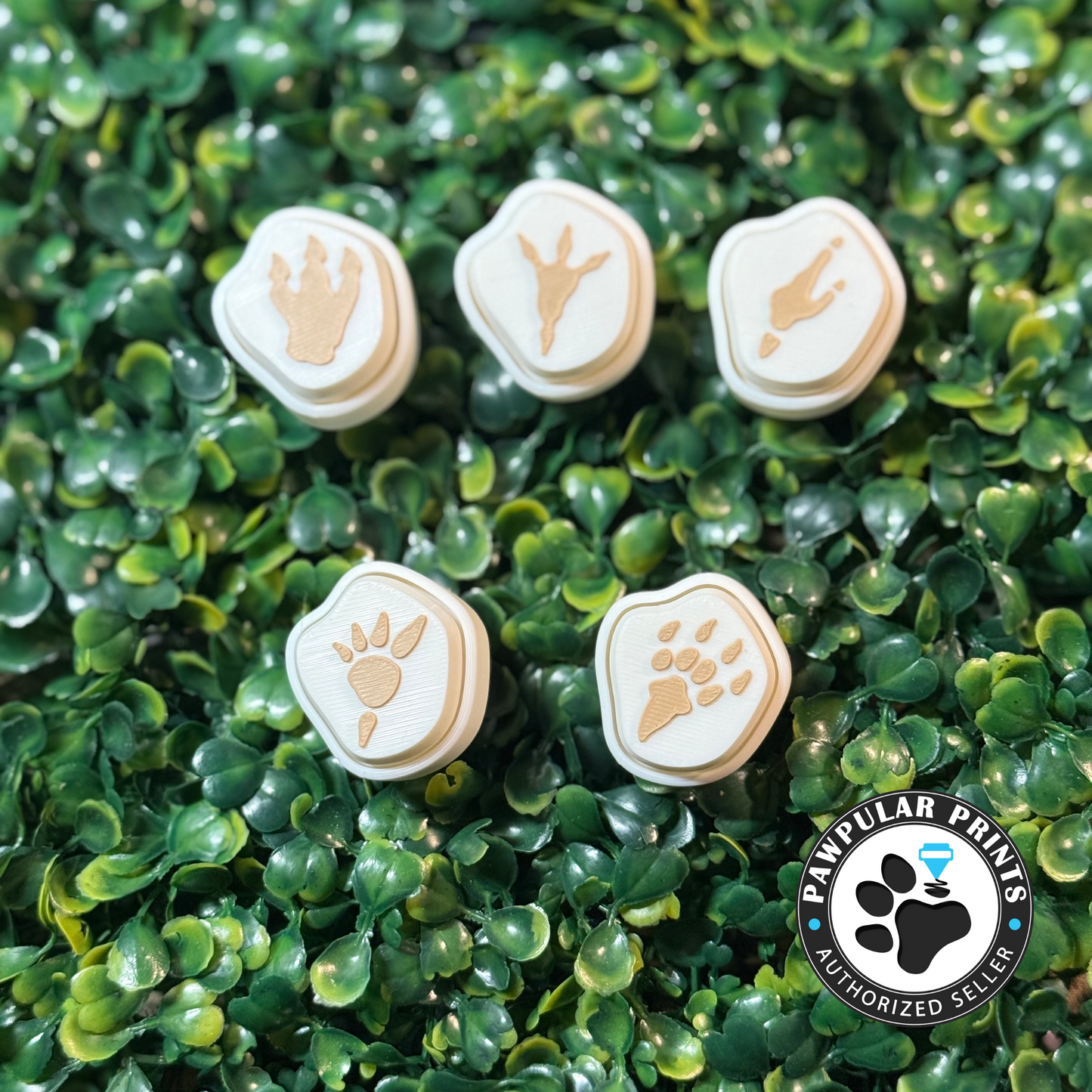 Dinosaur Fossil Set Fidget Clicker