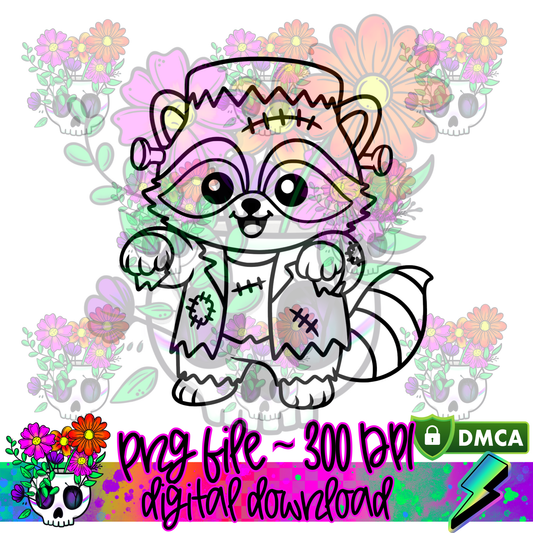 Frankie-Raccoon - PNG
