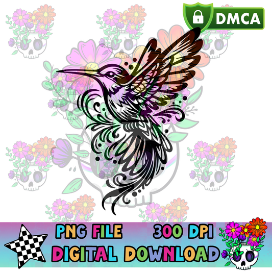 Hummingbird - PNG
