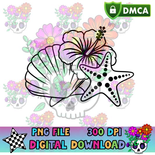 Summer Shells - PNG