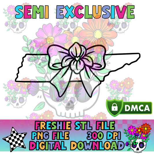 **VXP Semi Exclusive** Tennessee Iris